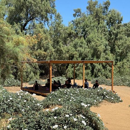 Rancho Dominique Valle De Guadalupe Exterior foto