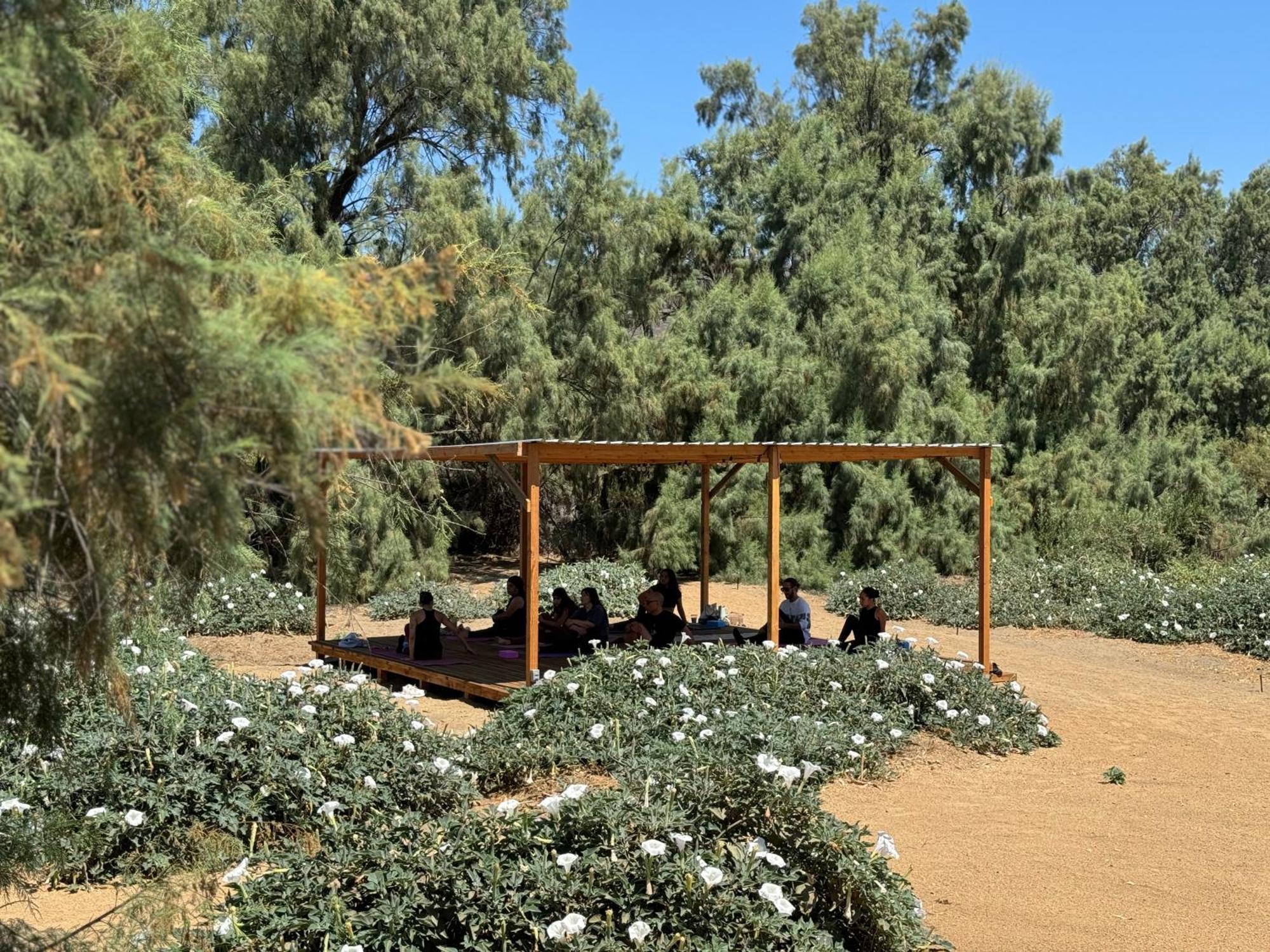 Rancho Dominique Valle De Guadalupe Exterior foto